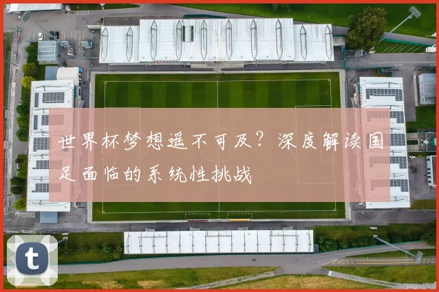 世界杯梦想遥不可及？深度解读国足面临的系统性挑战